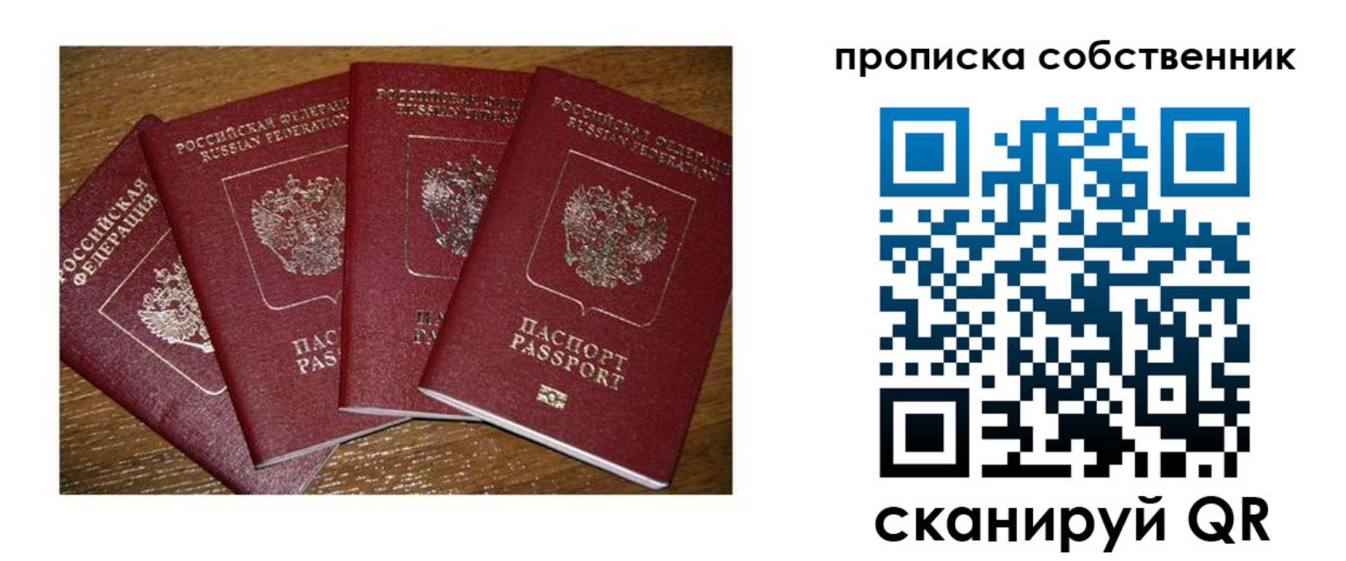 прописка поиск в Шебекино